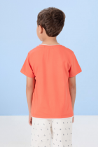 Camiseta Basica Infantil Verão Menino 